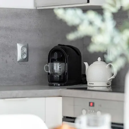 Apartment Bright Dzialynskich Near Old Town By Renters Posen