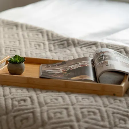 Bright Dzialynskich Near Old Town By Renters Apartment *