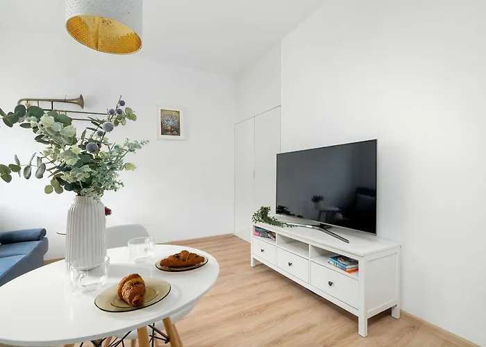 Bright Dzialynskich Near Old Town By Renters Posen