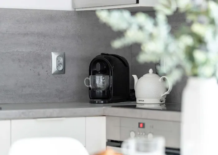 Apartment Bright Dzialynskich Near Old Town By Renters Posen