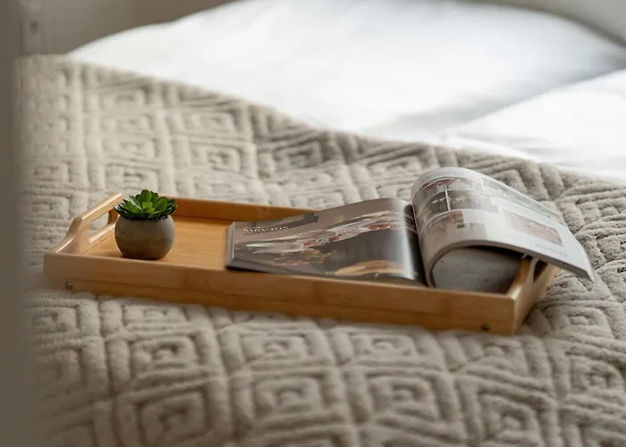 Bright Dzialynskich Near Old Town By Renters Apartment *