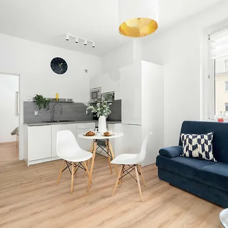 Bright Dzialynskich Near Old Town By Renters * بوزنان